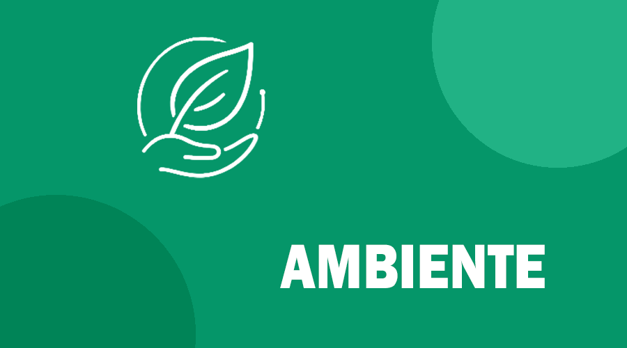 Ambiente
